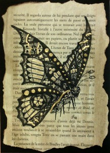 Papillon vitrail