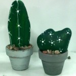 Galets cactus